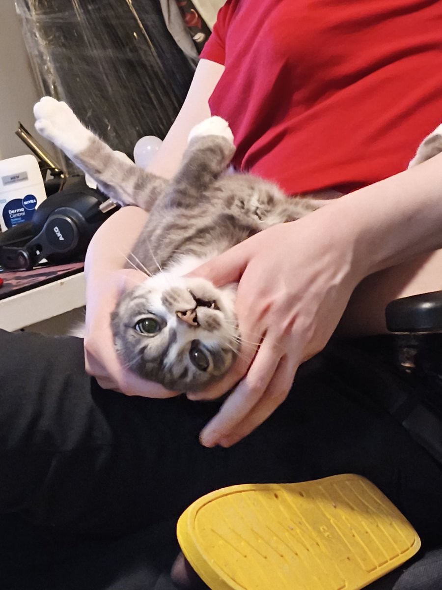 fae gaggot 🦦 tweet media