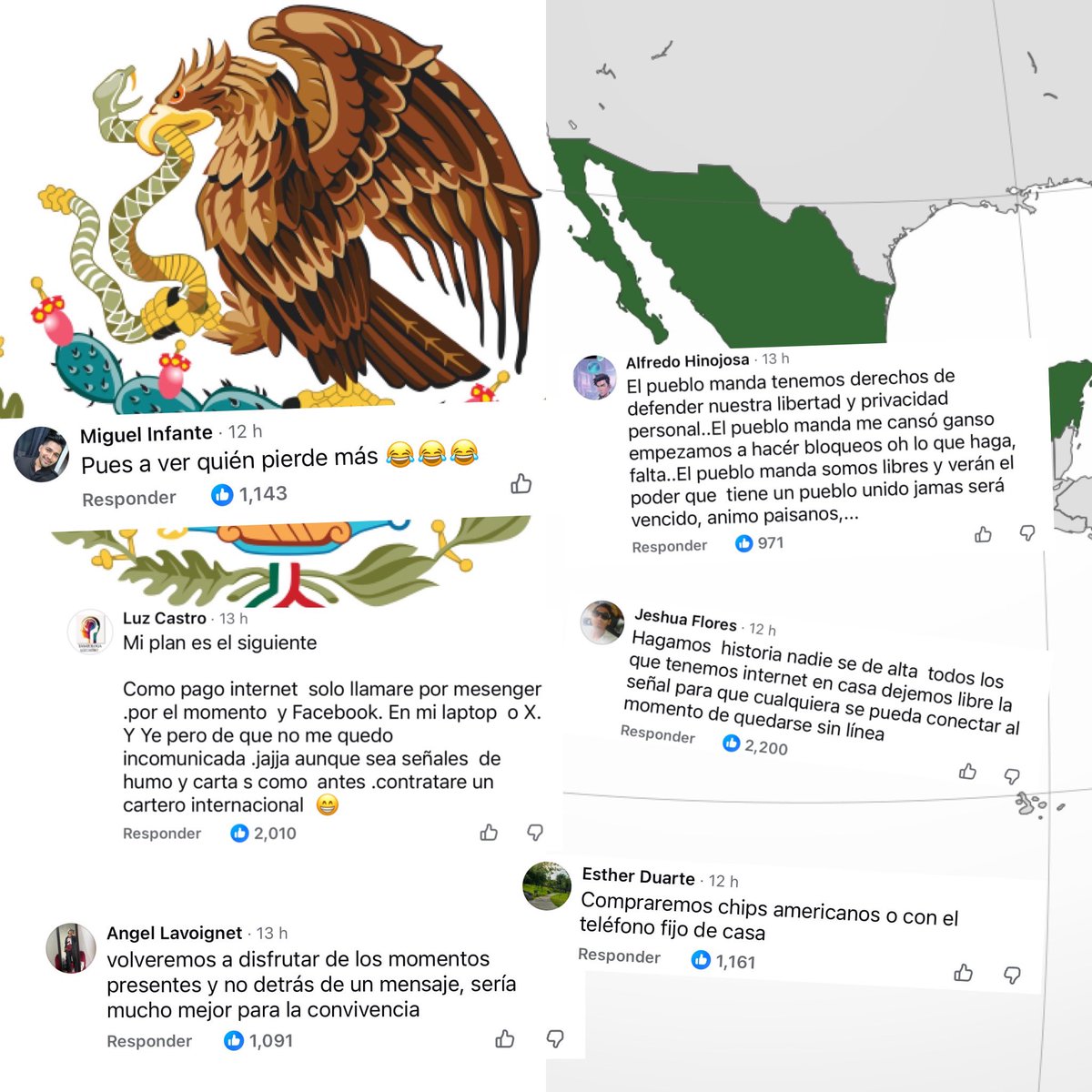 Cerebros tweet media