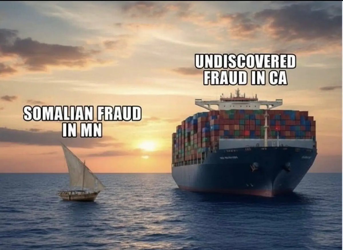 SharkFL239 tweet media