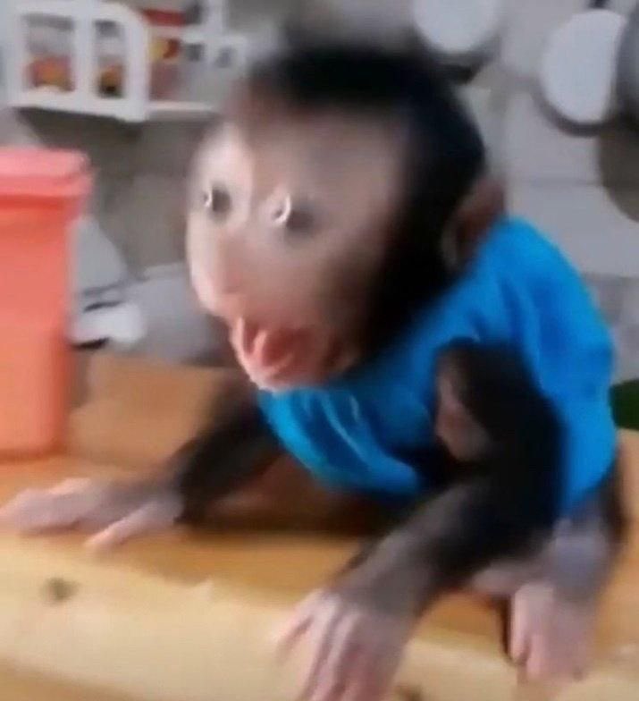 코알랑 tweet media