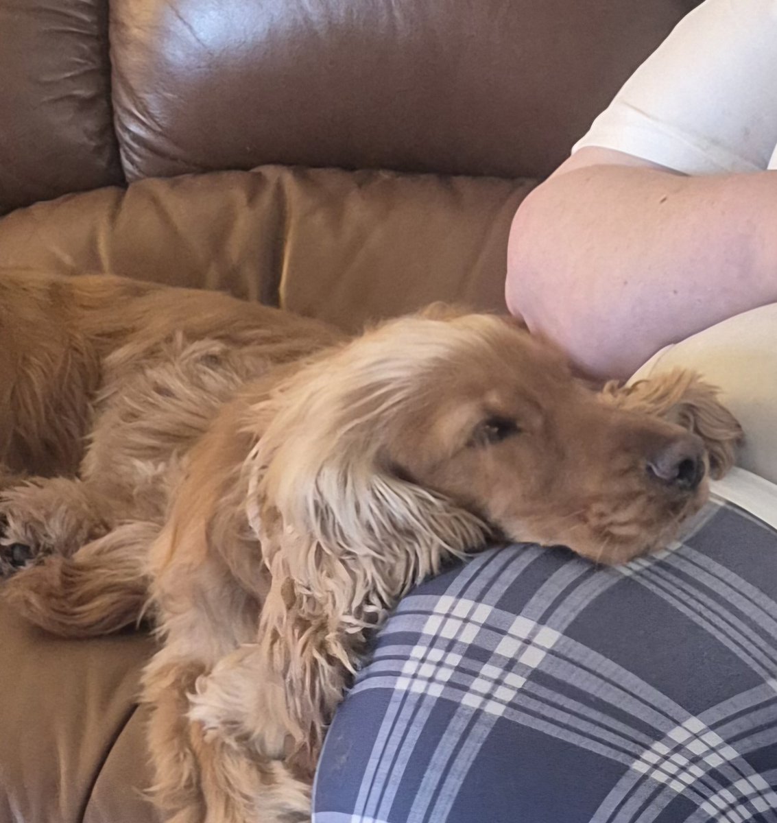 Mark Donnelly tweet media