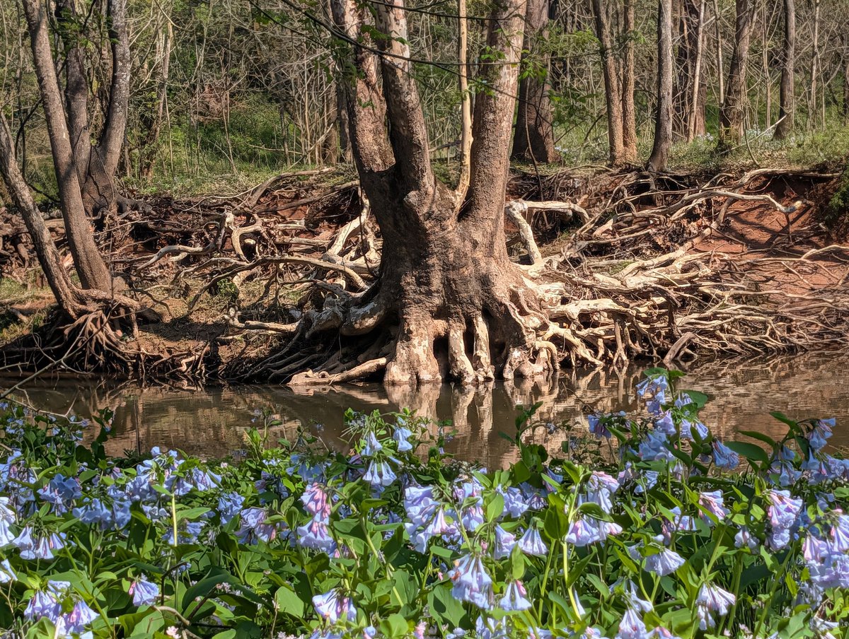 Reasonable Man 🇺🇸 tweet media