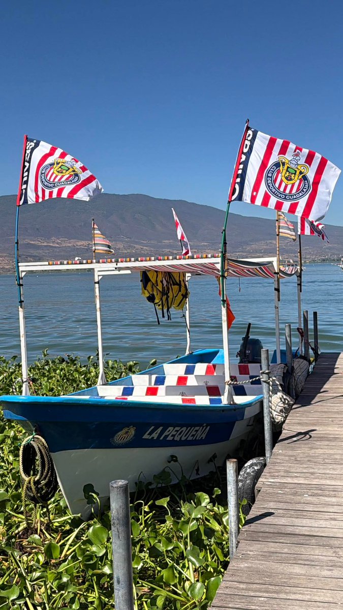 🇦🇹 E l c h u p e s 2 🇦🇹 la venganza tweet media