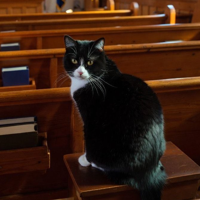 Indie 505 tweet media