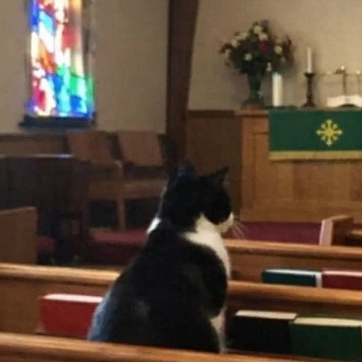 Indie 505 tweet media