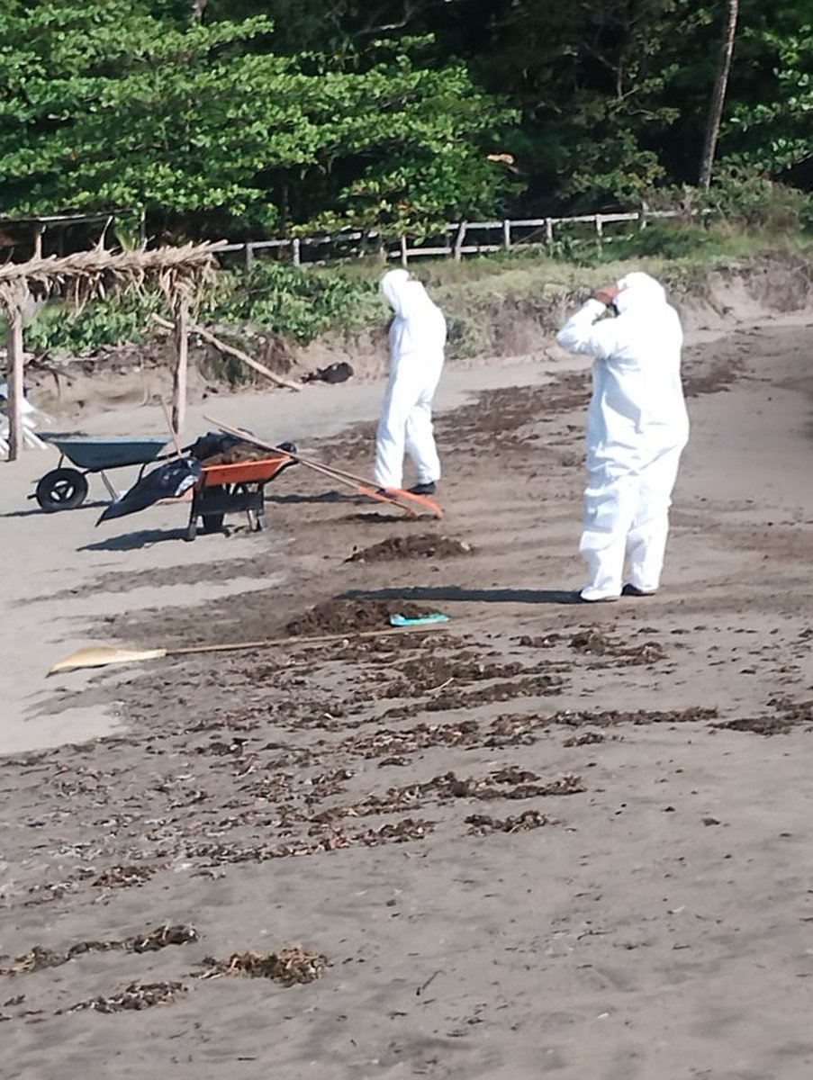 Petróleos Mexicanos tweet media