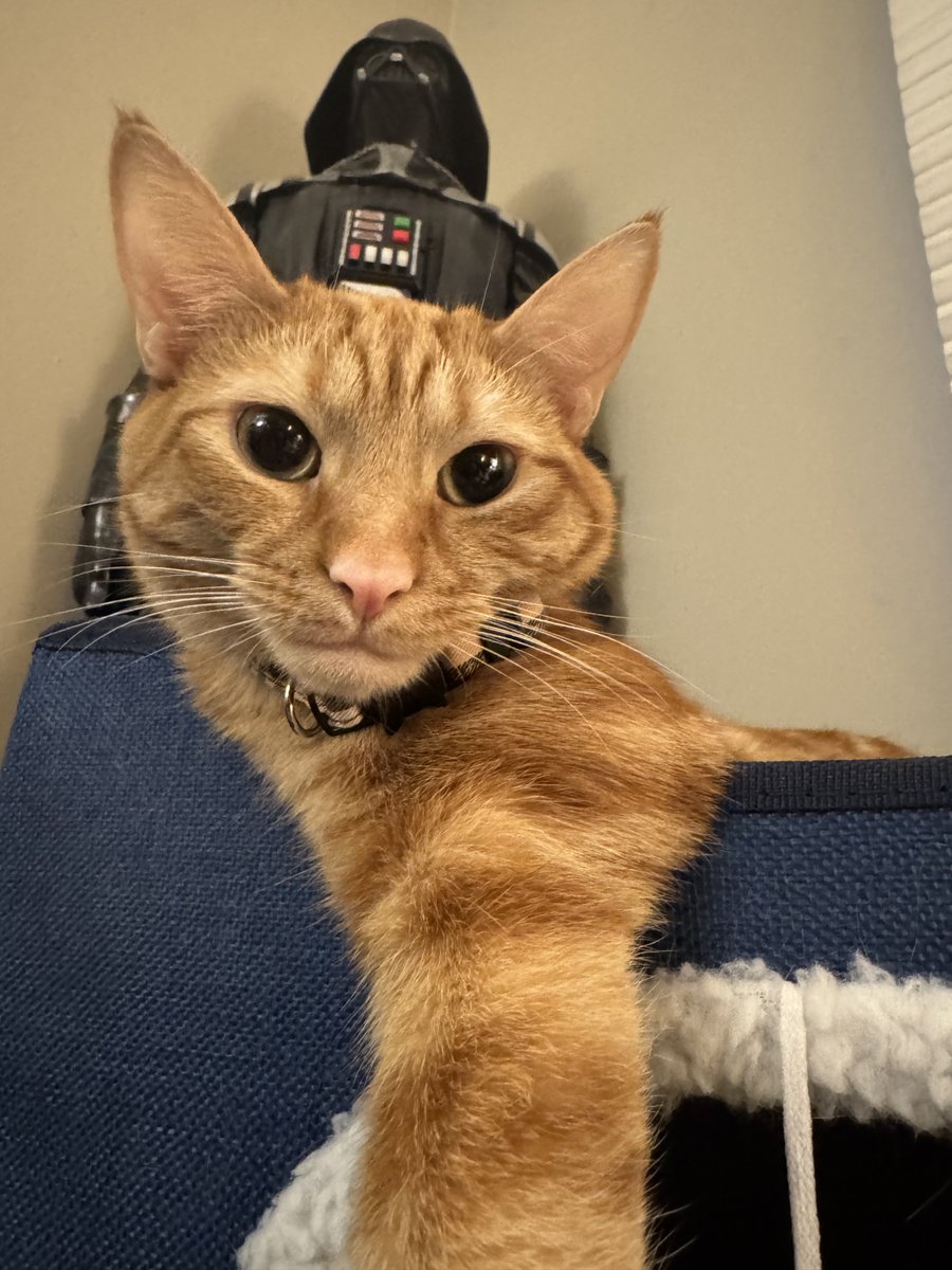 Dr. Glenn Patrick Doyle tweet media