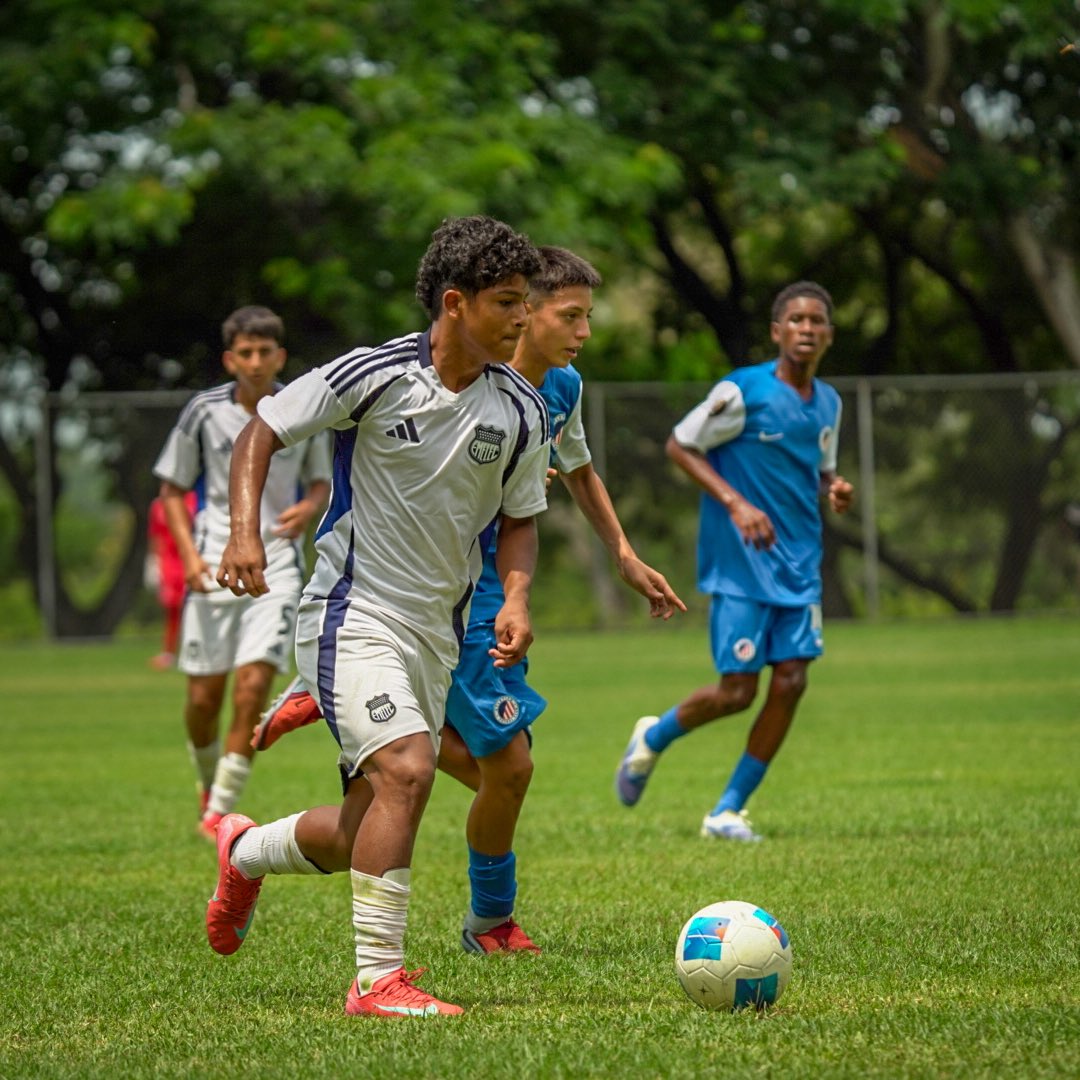 Formativas CSE tweet media