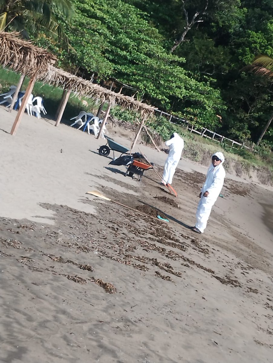 Petróleos Mexicanos tweet media