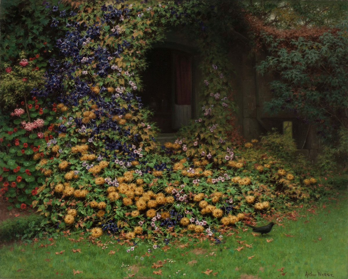 ⋉ ֍ ⋊ tweet media