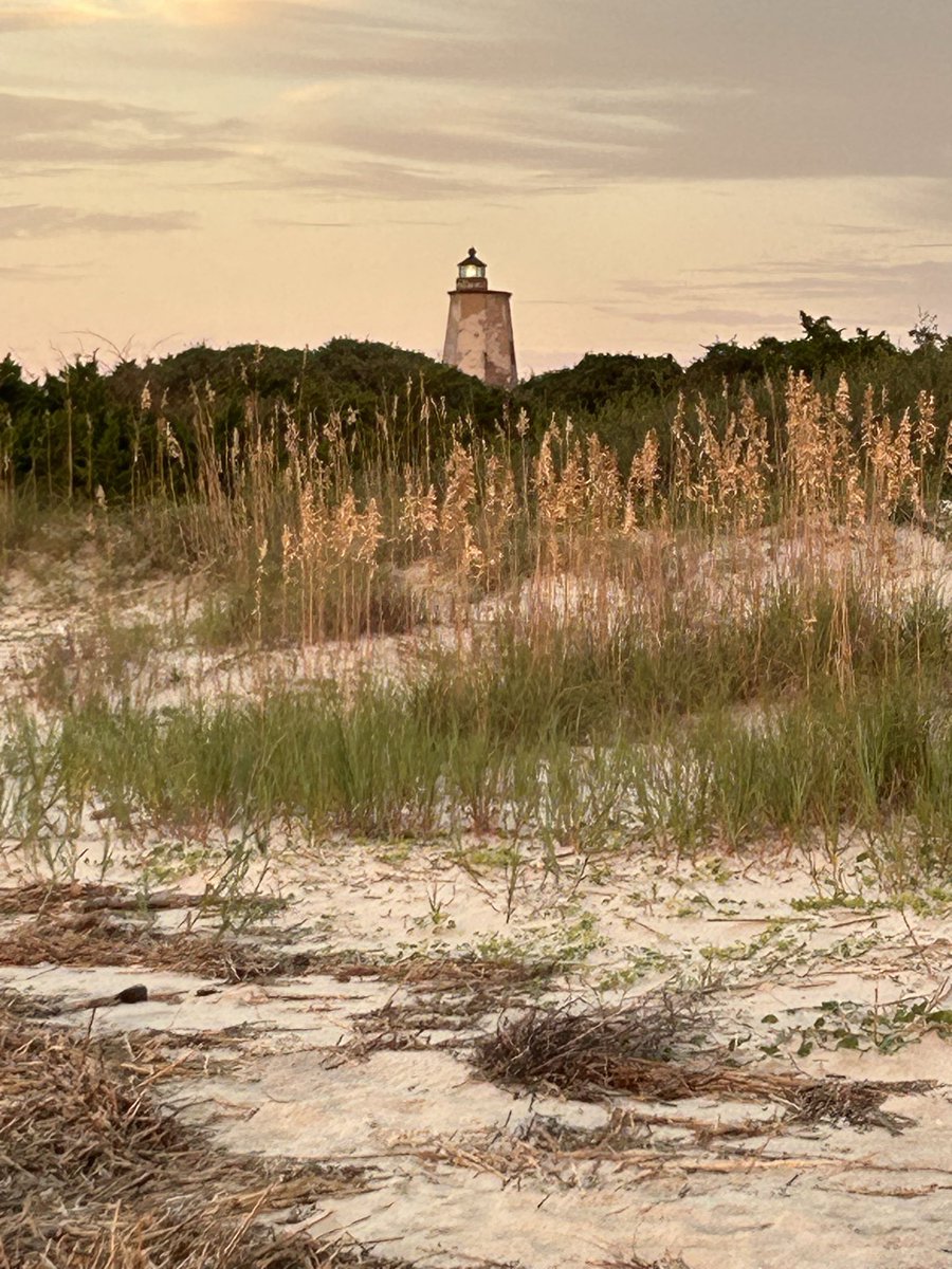 MarkSENC🇺🇸 tweet media