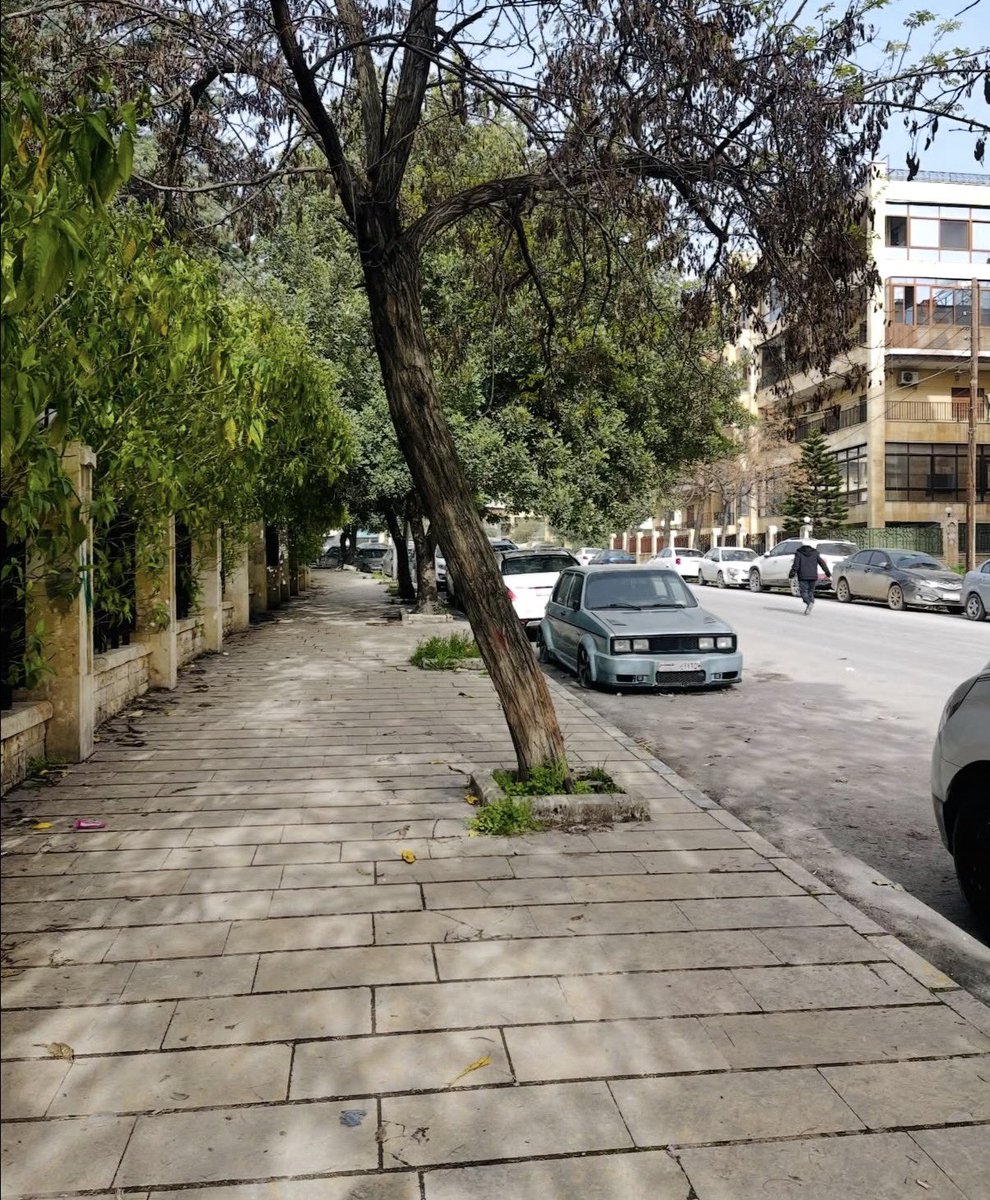 لوند ⛰️🇸🇦 tweet media