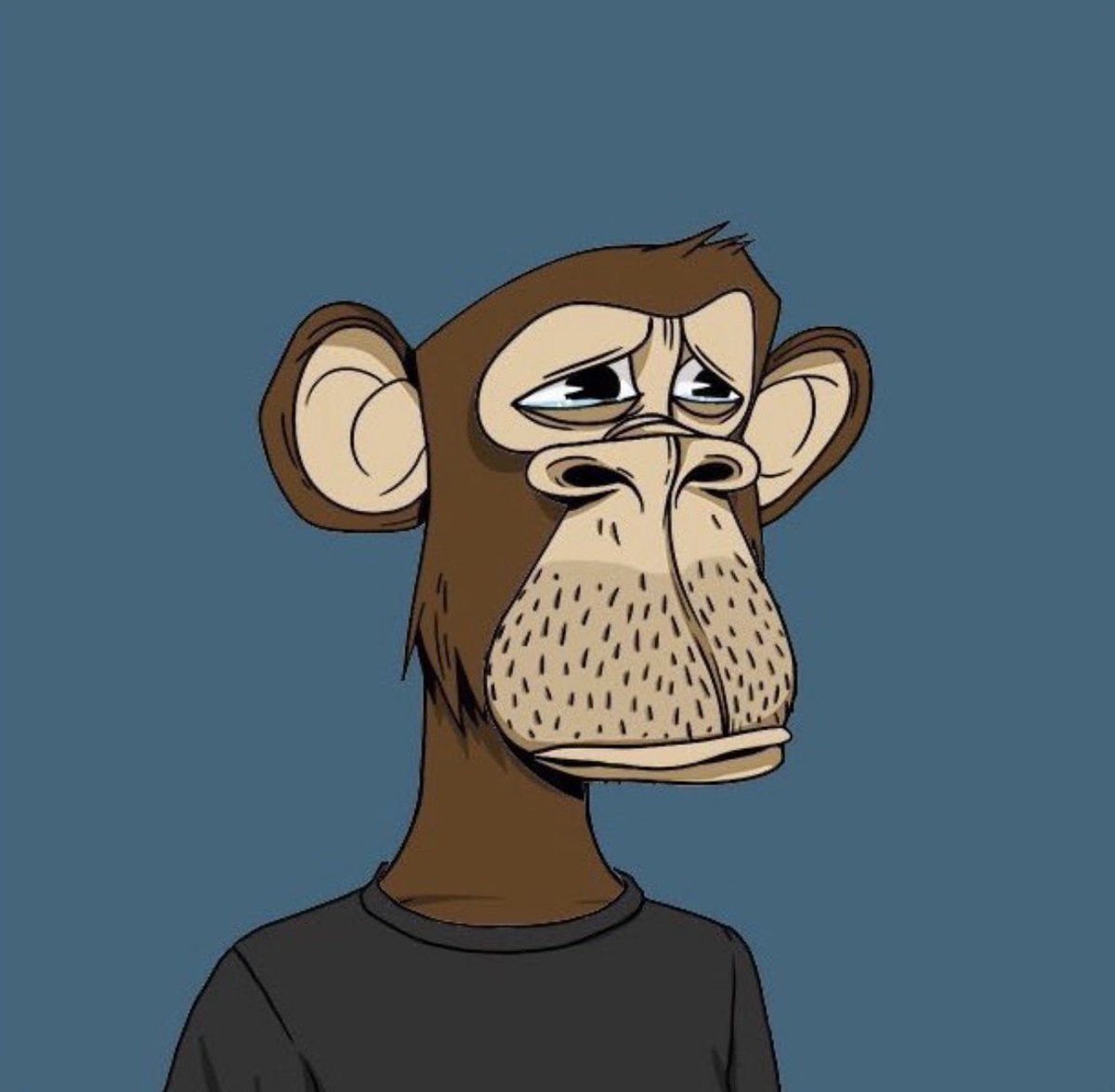 Crypto News Hunters 🎯 tweet media