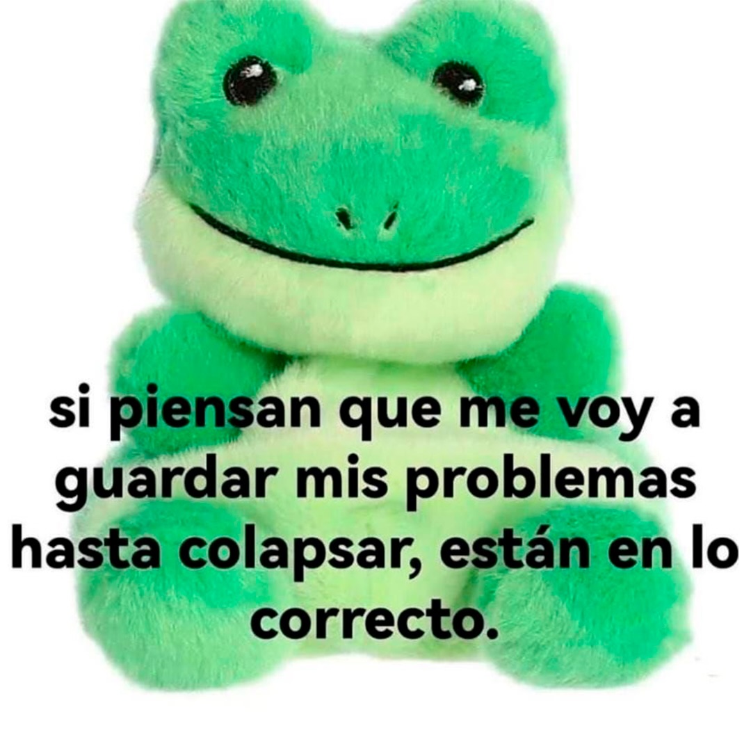 Ojos color sol tweet media