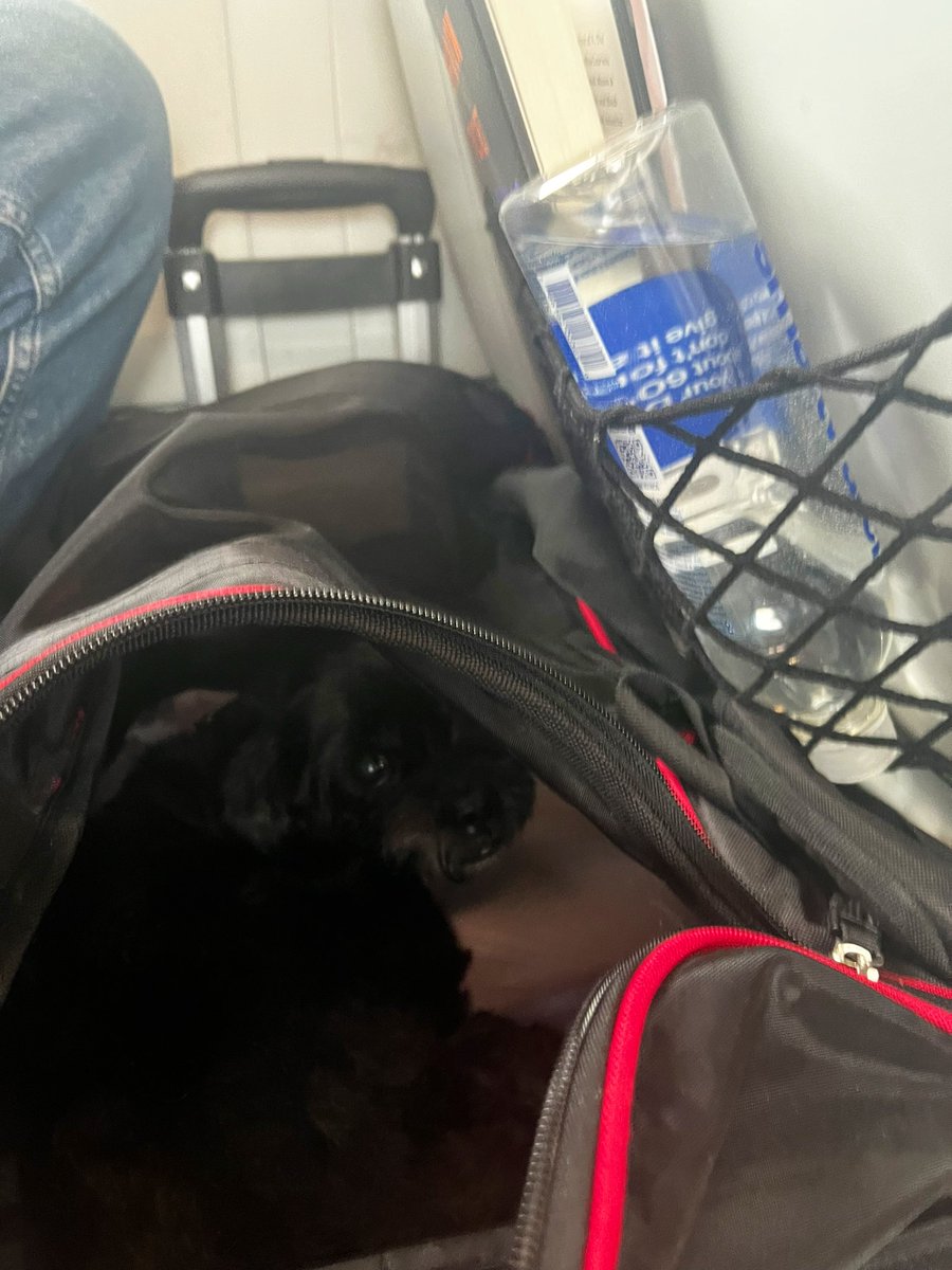 Tony Hawk’s Post Maker tweet media