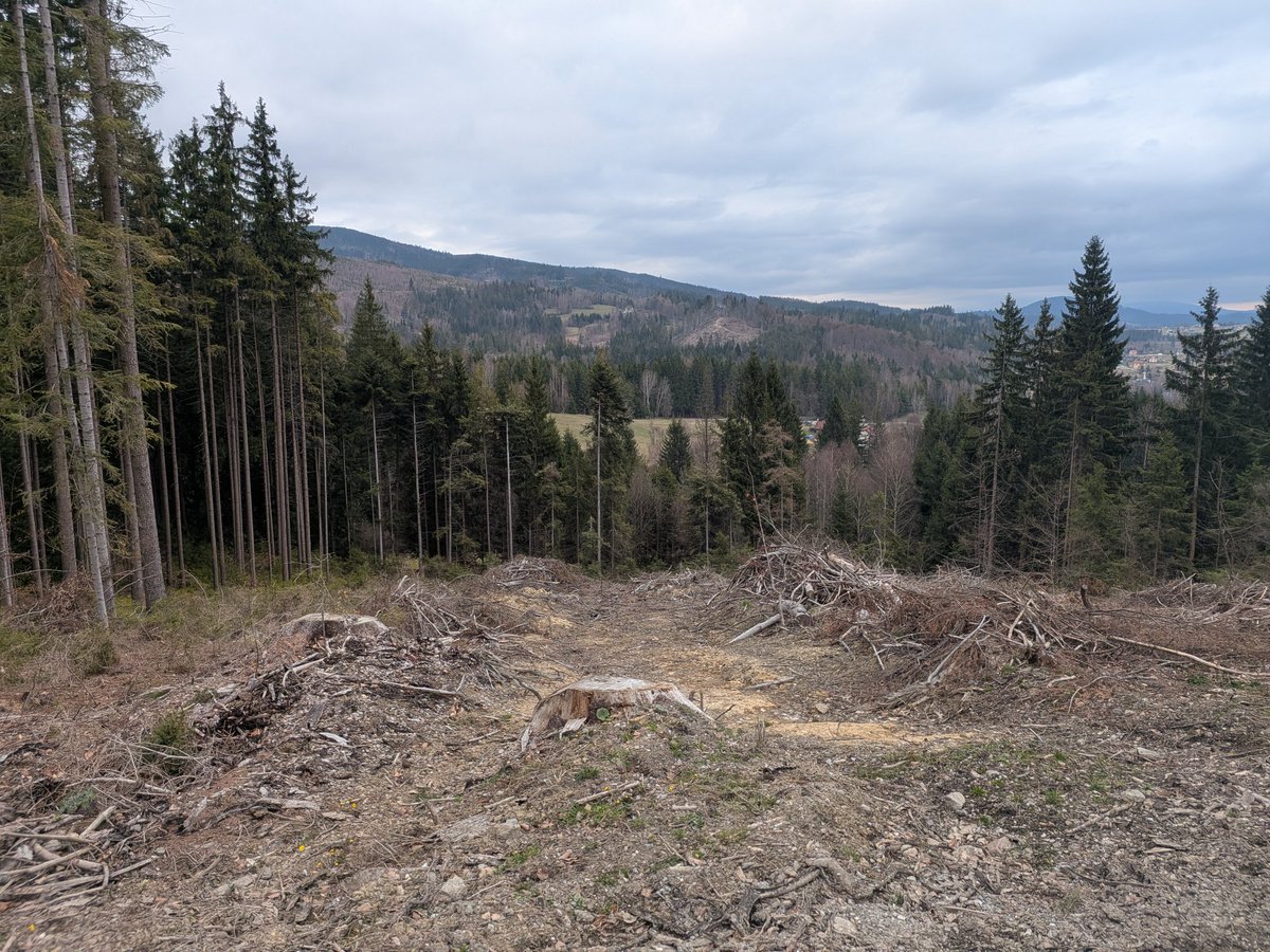 Juraj Bednar tweet media