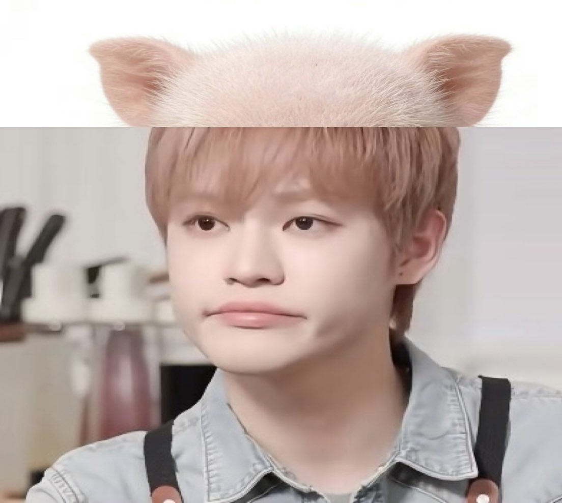 ᯟ︿ᯏ tweet media