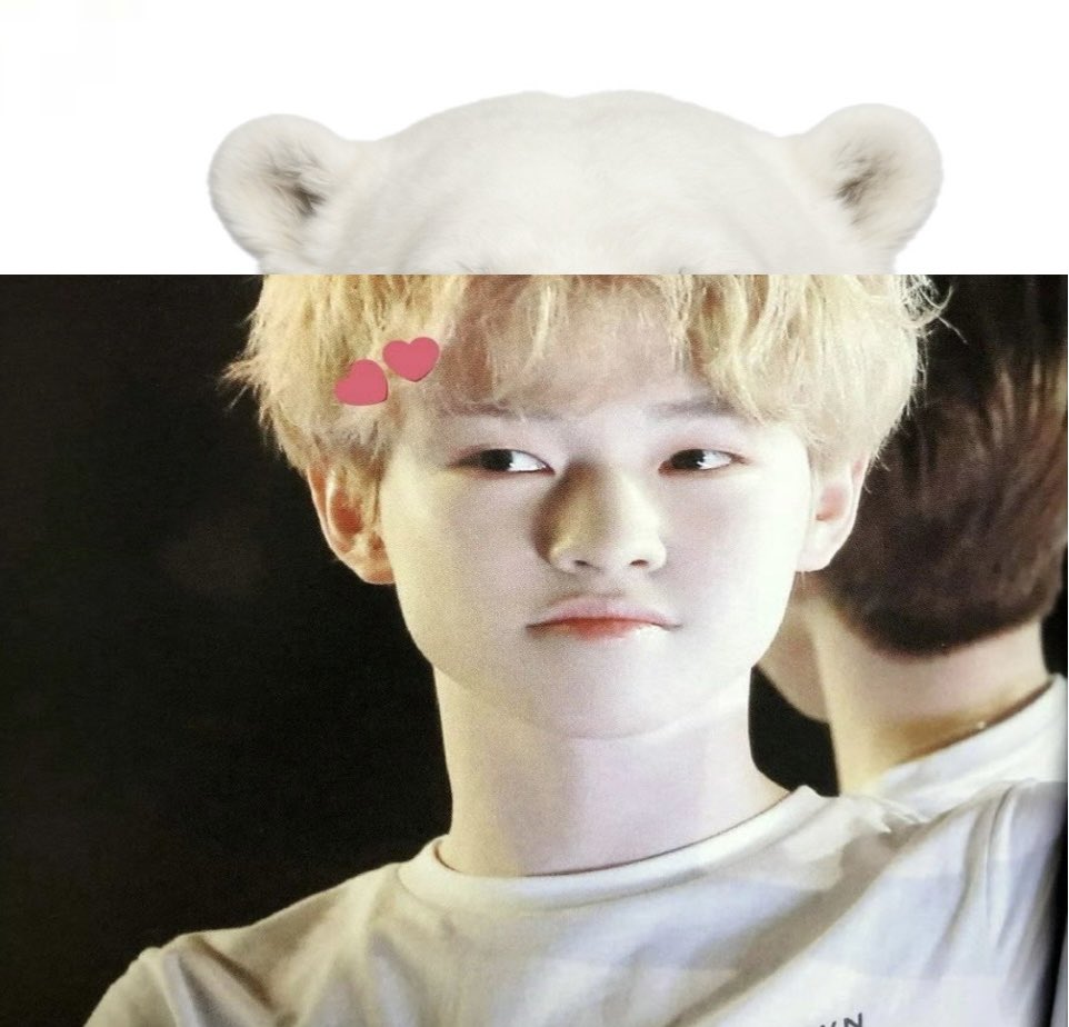 ᯟ︿ᯏ tweet media