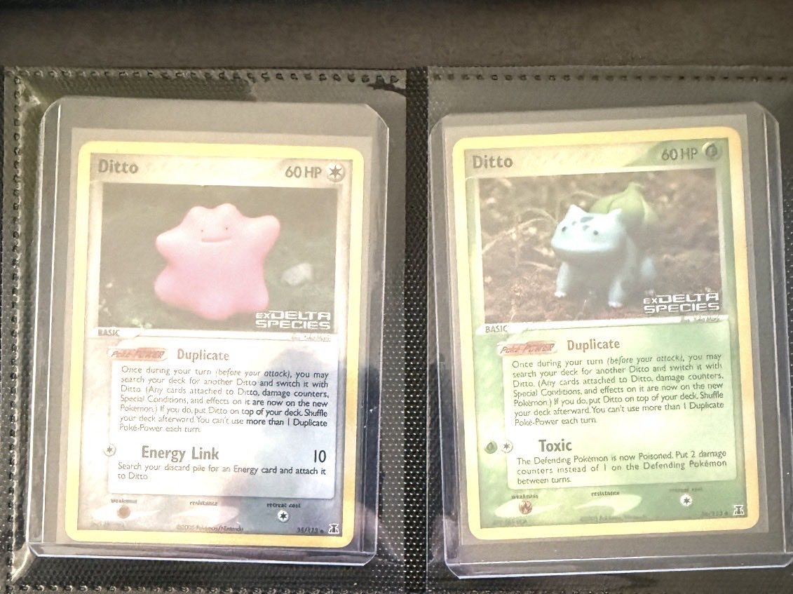 DBcollects tweet media