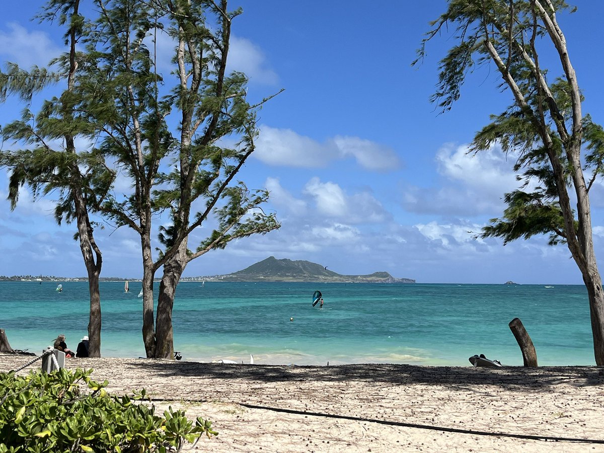 AnnieKins tweet media