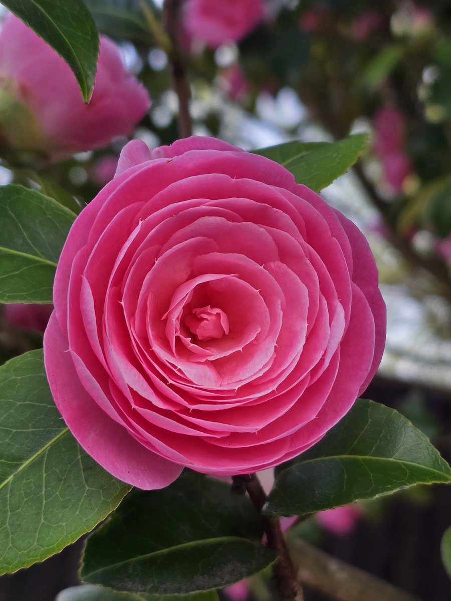 Katerina tweet media