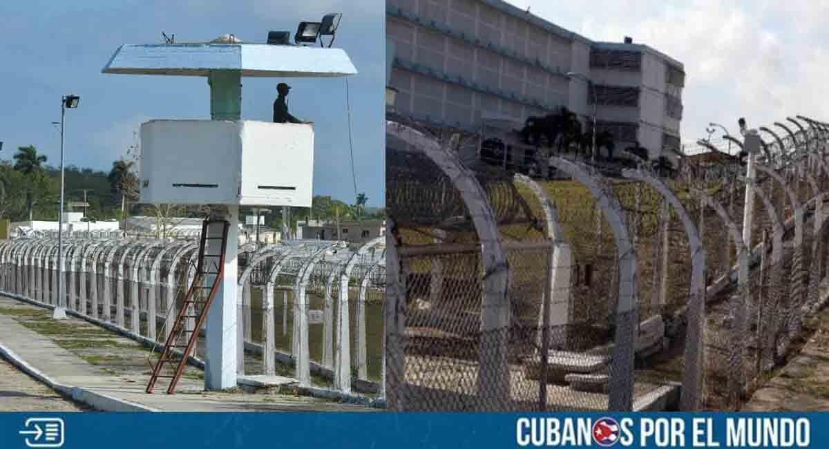 Cubanos por el Mundo tweet media