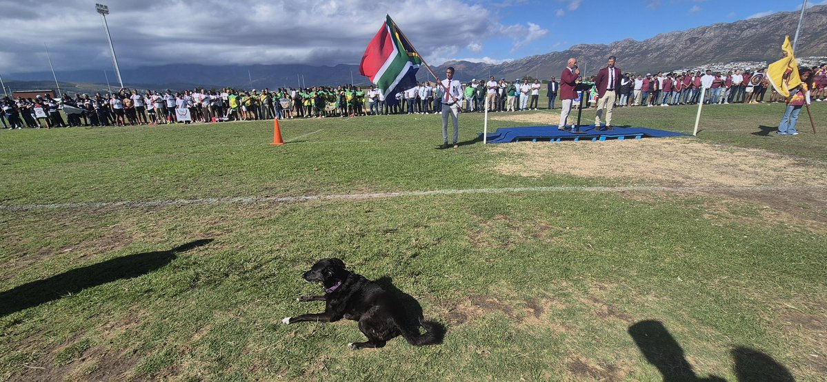 Peter Bee 🐝 tweet media