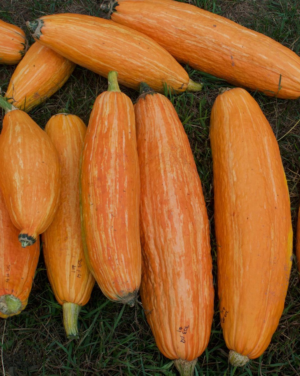 Progress Michigan tweet media