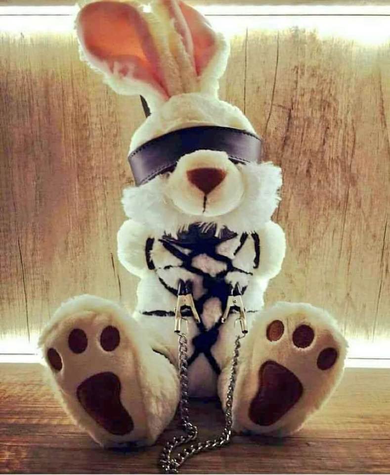 FeralButterfly0's tweet photo. 🐰🐇😎🦋 https://t.co/DgSDbwIEZK