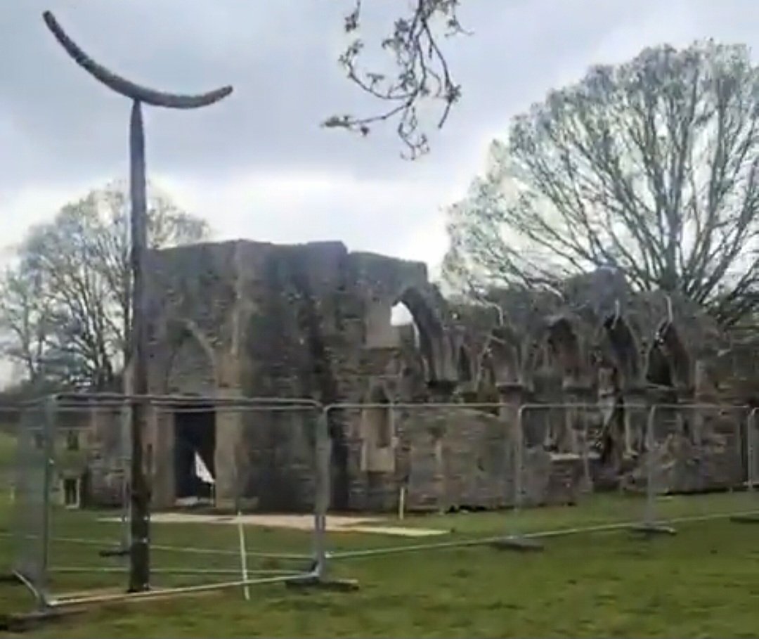 Dylan🇵🇸 tweet media