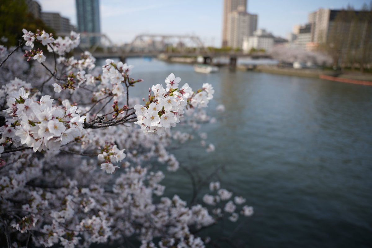 Σ(- （おど） tweet media