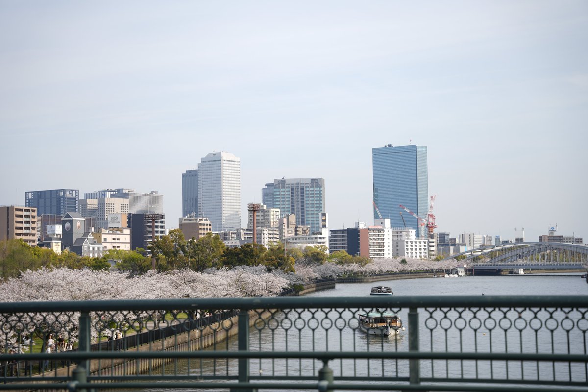 Σ(- （おど） tweet media