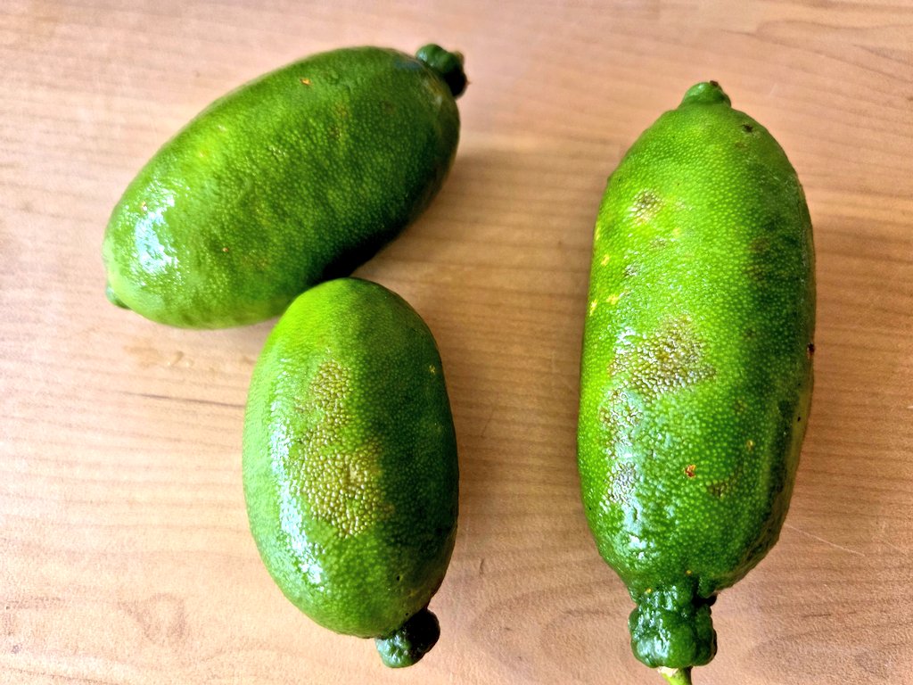 avokatoptimist' tweet media