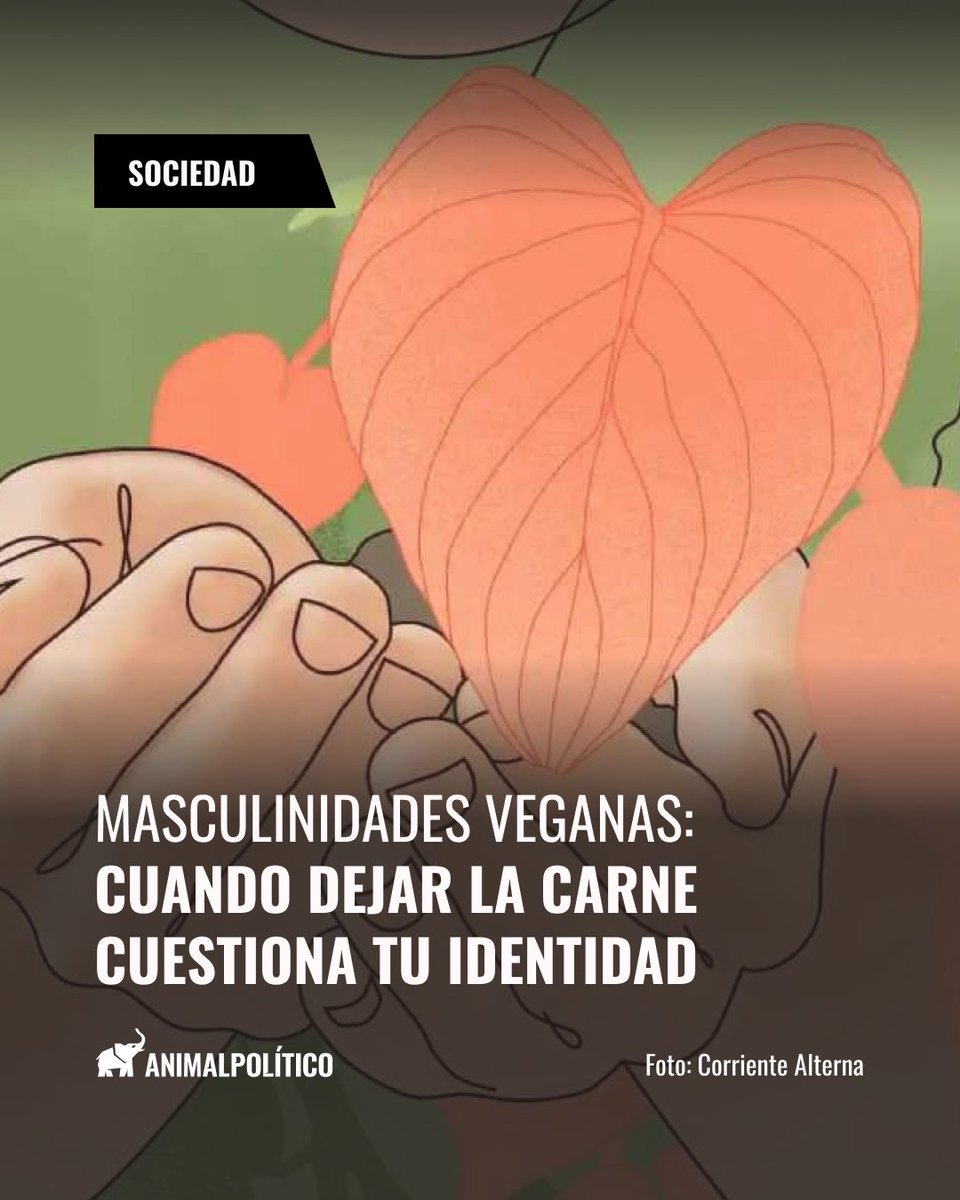 Animal Político tweet media