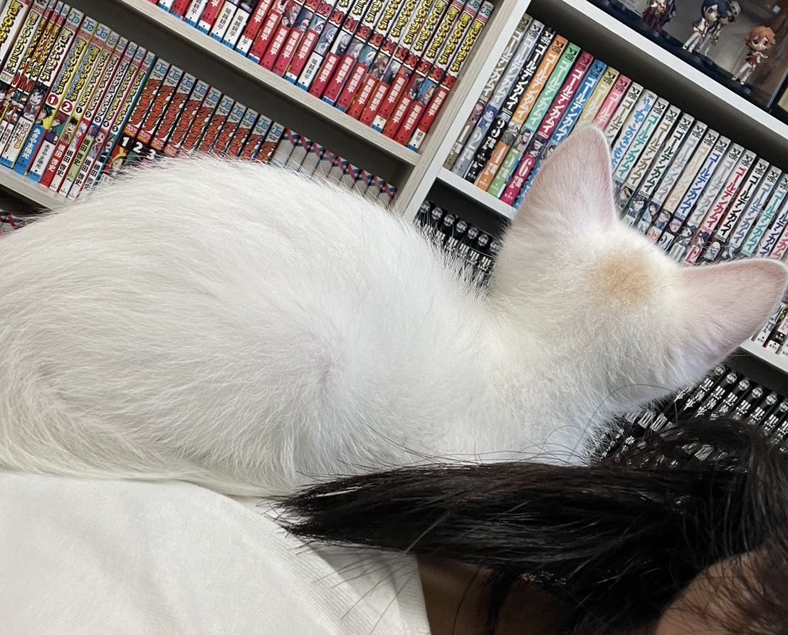 千世/🌈西1さ27 tweet media