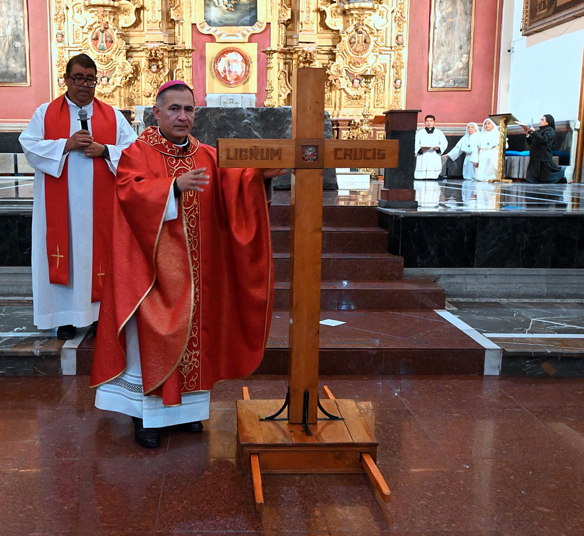 dioctexcoco tweet media