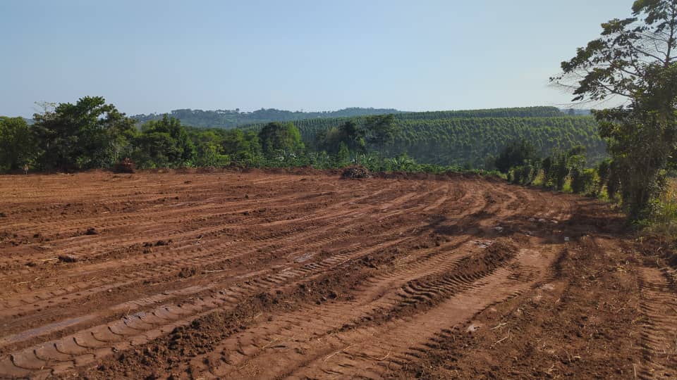 Collins Mugume tweet media