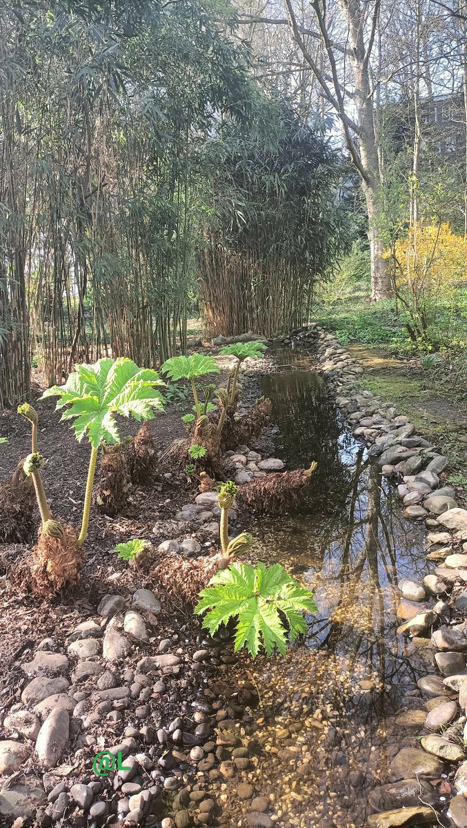 Letta_vi64's tweet image. 🤩 ... 🐠🐠 ... ☀️💦💦 #nature #fish #water #green 

📸🐠