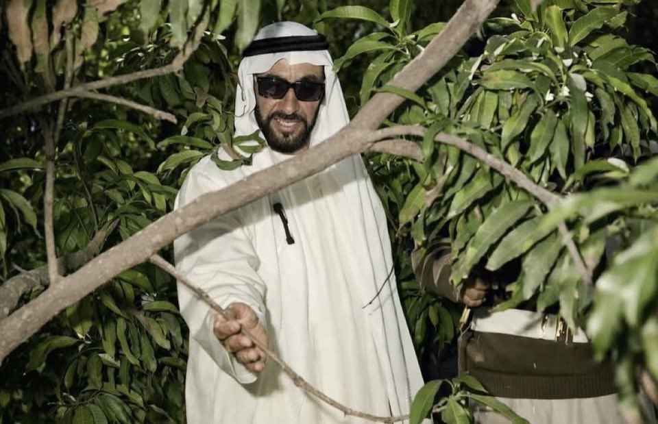 هزّام tweet media