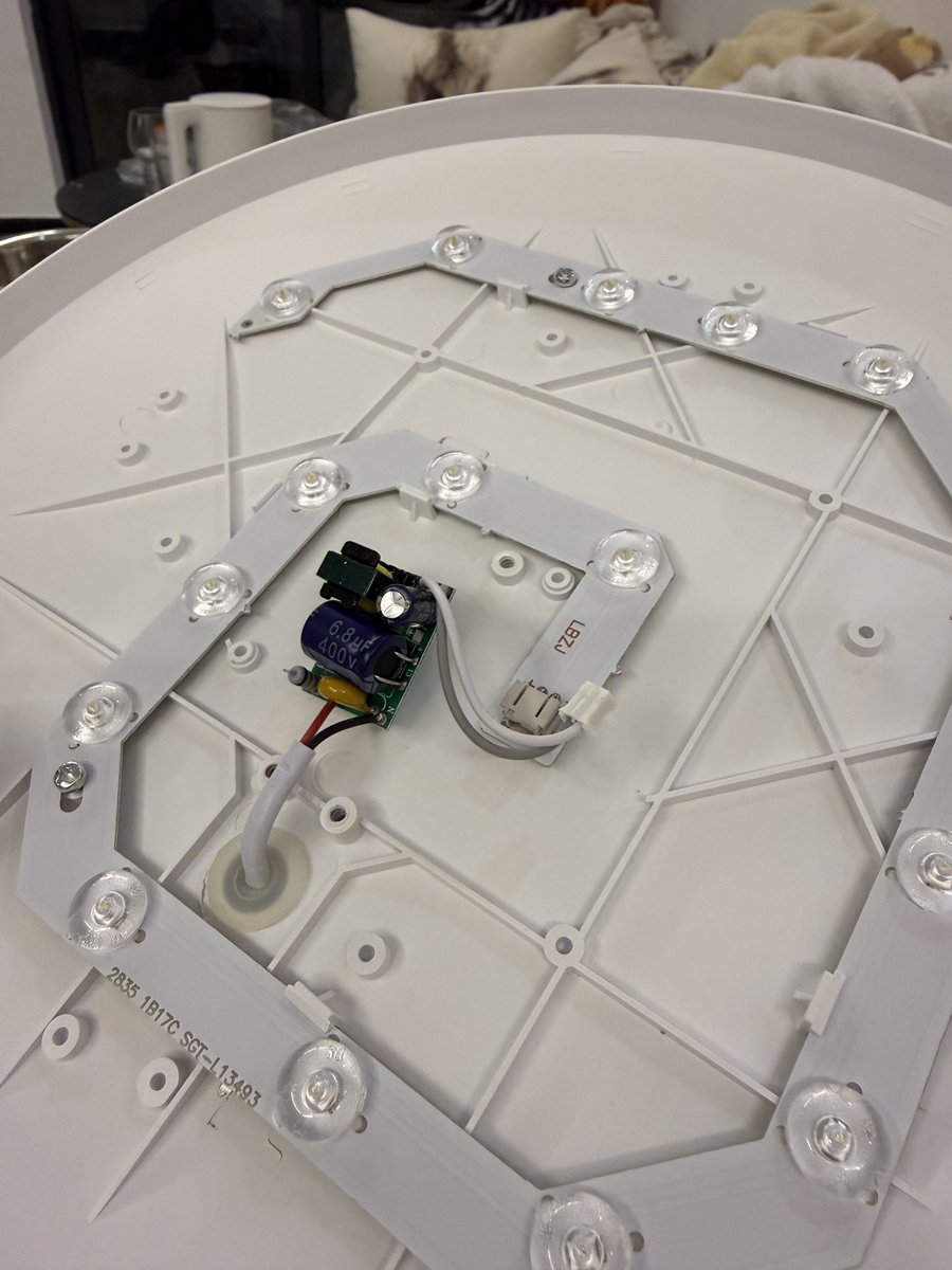 六分之狗仨儿 tweet media