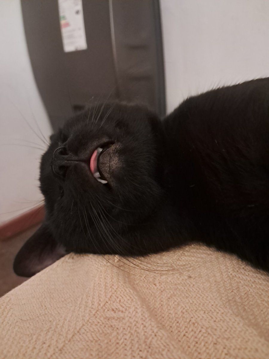 M de Marlowe tweet media