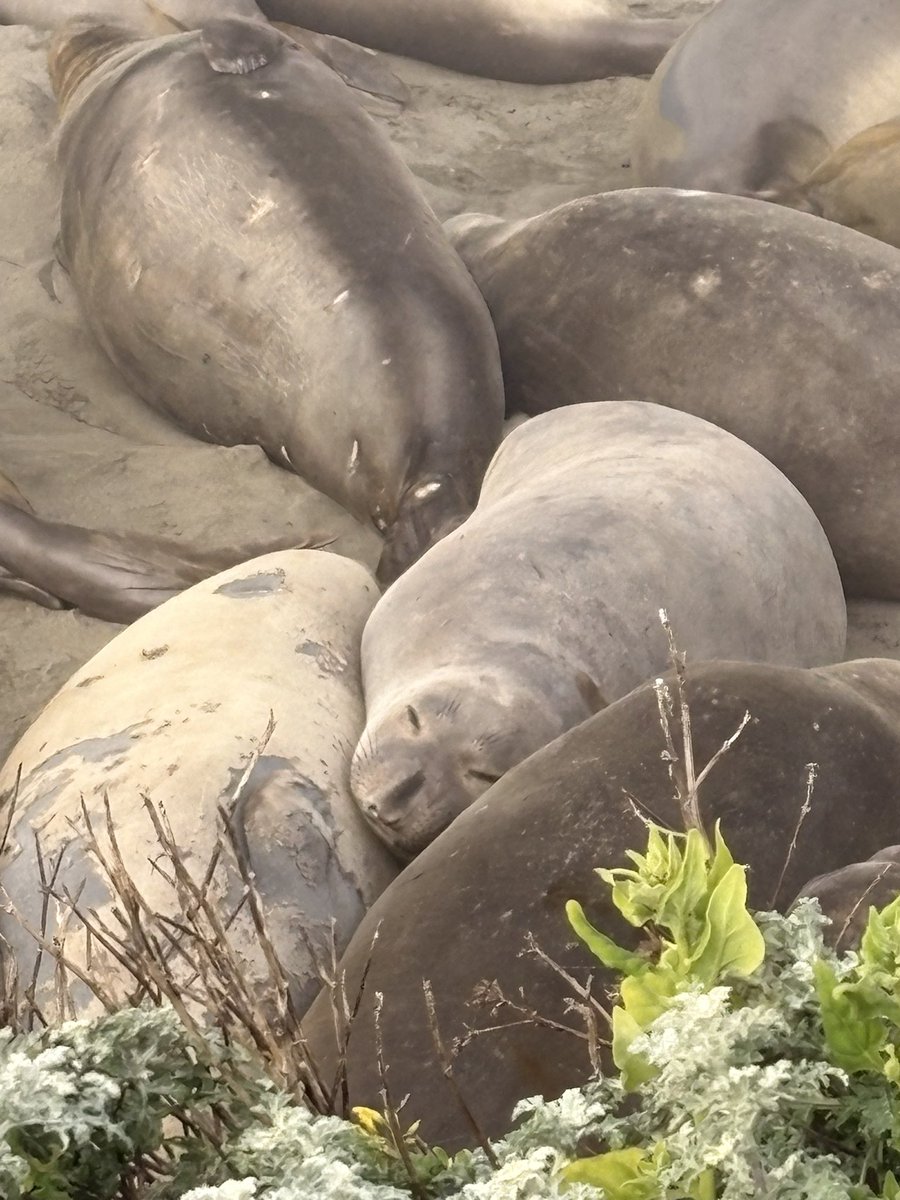 ⋆˚࿔ mattie 𝜗𝜚˚⋆ tweet media