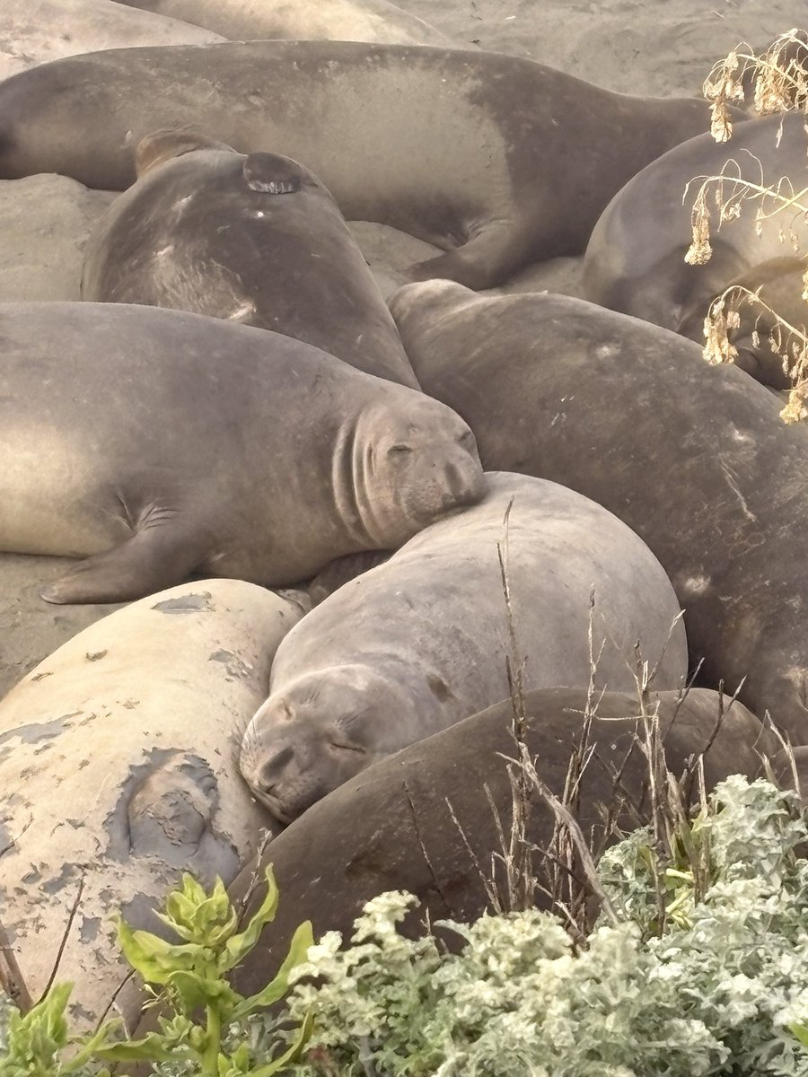 ⋆˚࿔ mattie 𝜗𝜚˚⋆ tweet media