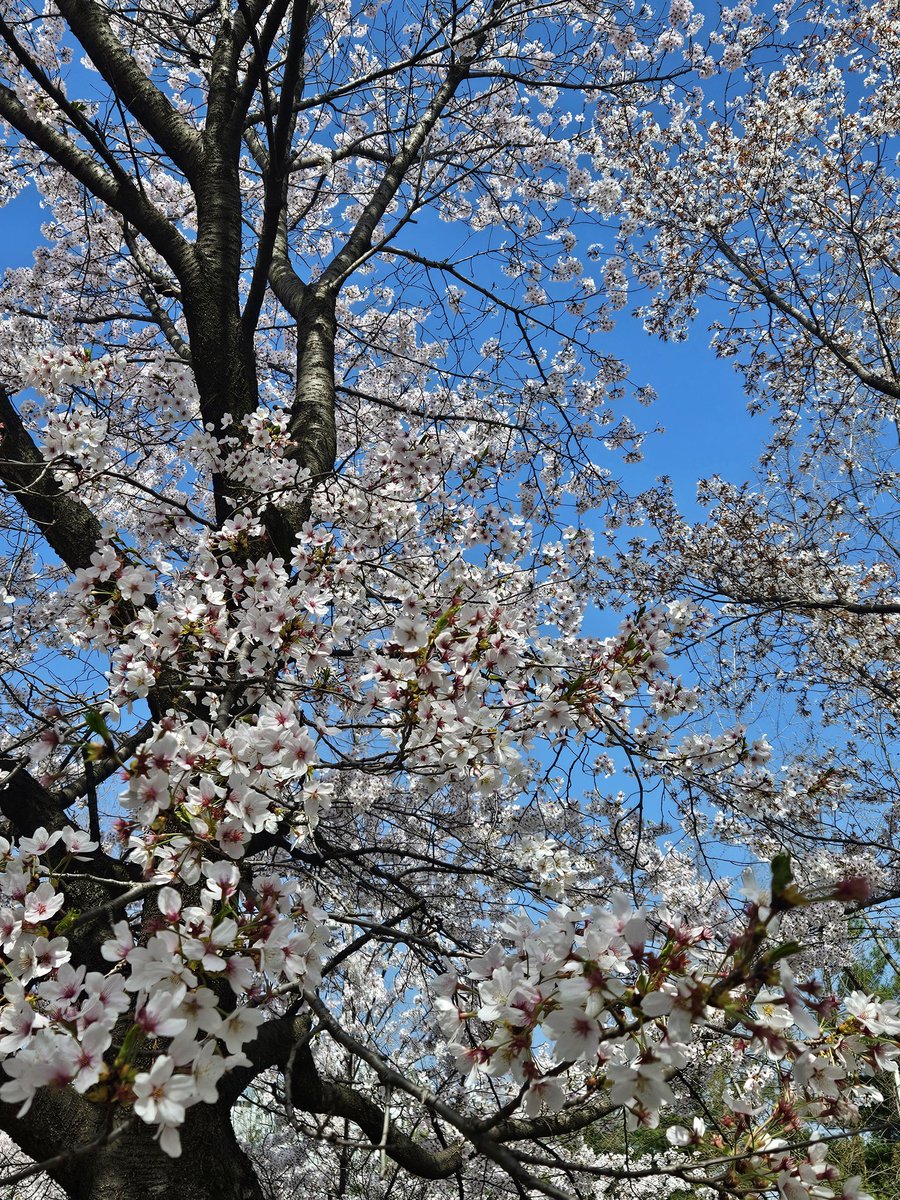 허순이 tweet media