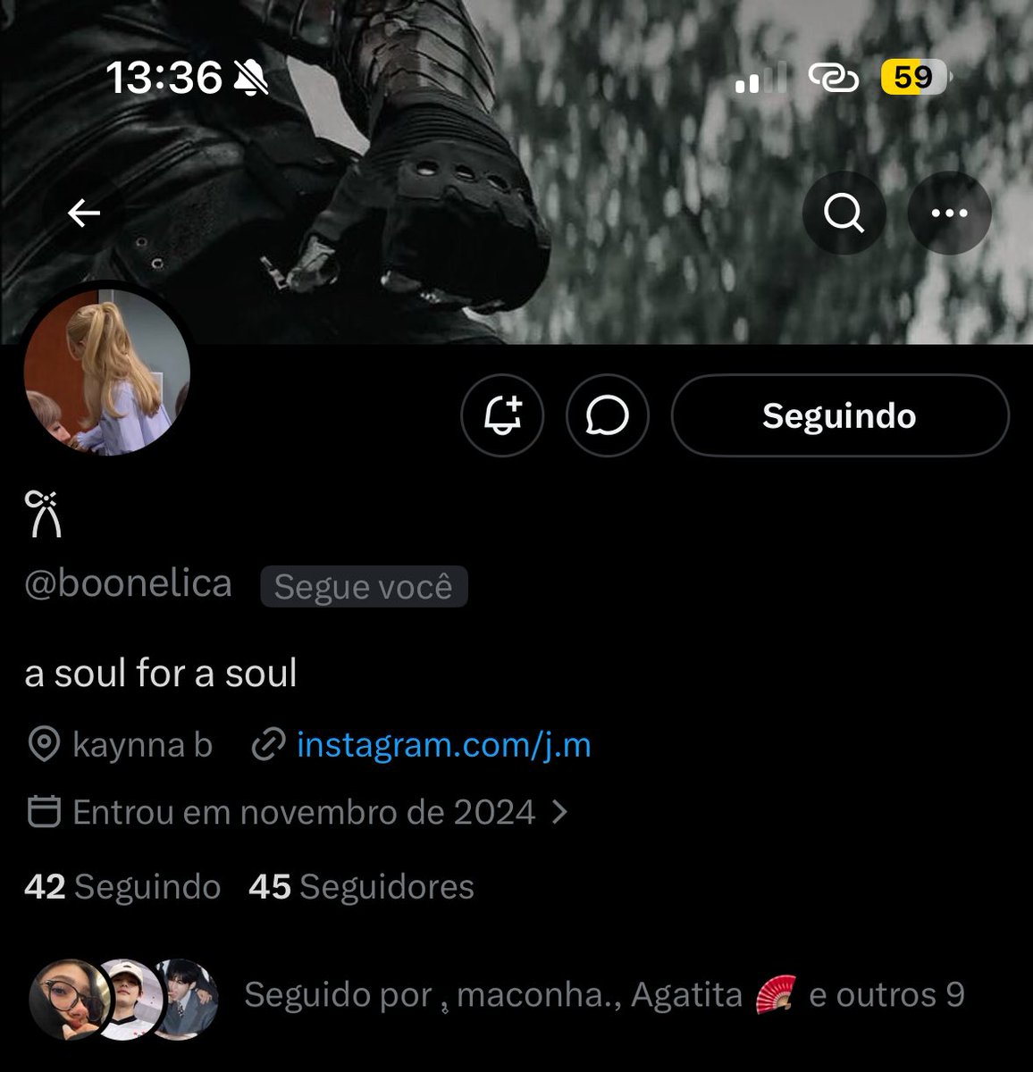 stte gatinha. tweet media