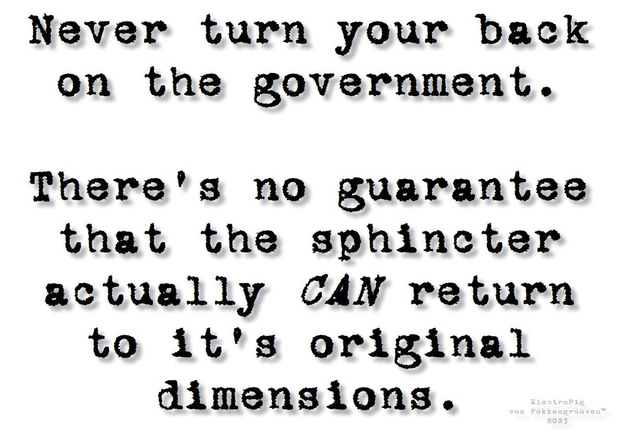 ElectroPig™ 🍁 tweet media