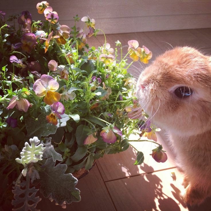 gal౨ৎ tweet media