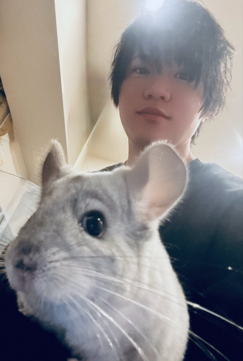 佐藤祐吾 tweet media