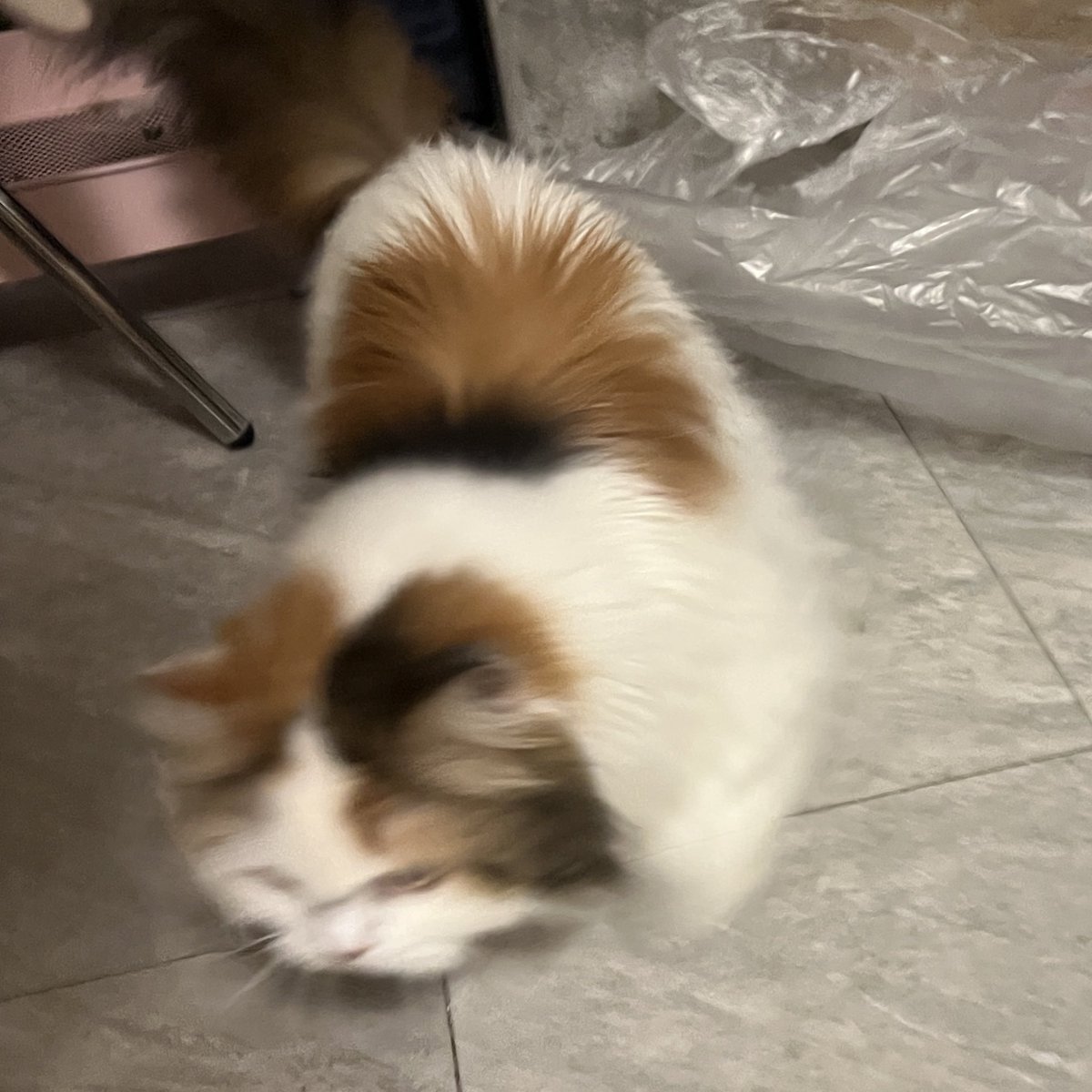 ไอจุนไปเล่นก๊อบแก๊บชี ละชีวิ่งมาตีแบบ 4x100