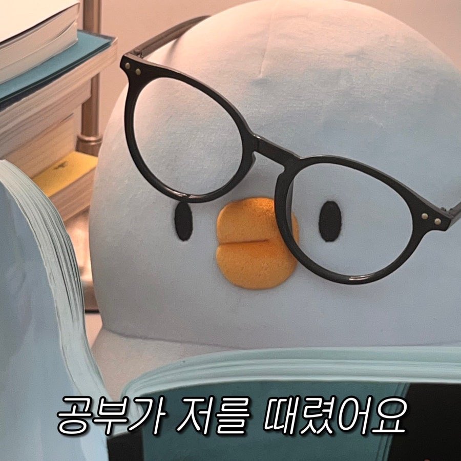 체달 tweet media